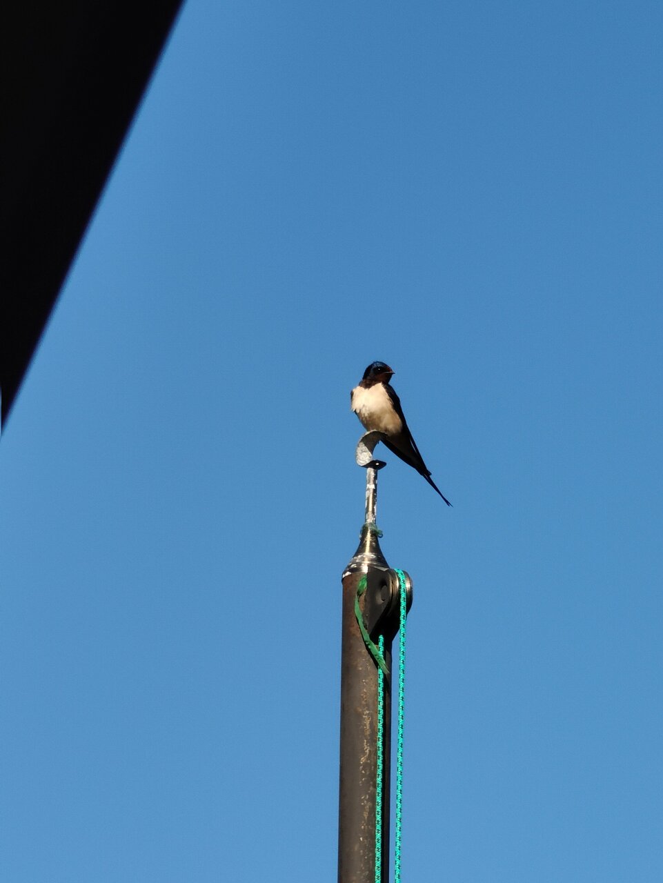 Гостиница Хоредж Избербаш-27