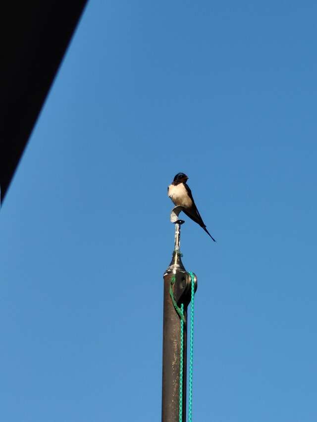 Гостиница Хоредж Избербаш-26